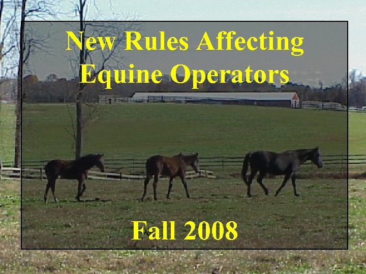 New Rules Affecting Equine Operators Fall 2008 