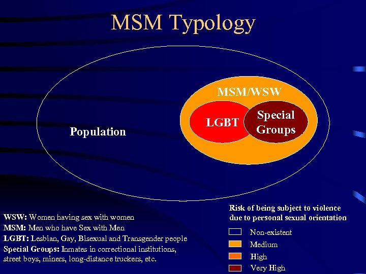 MSM Typology MSM/WSW Population WSW: Women having sex with women MSM: Men who have