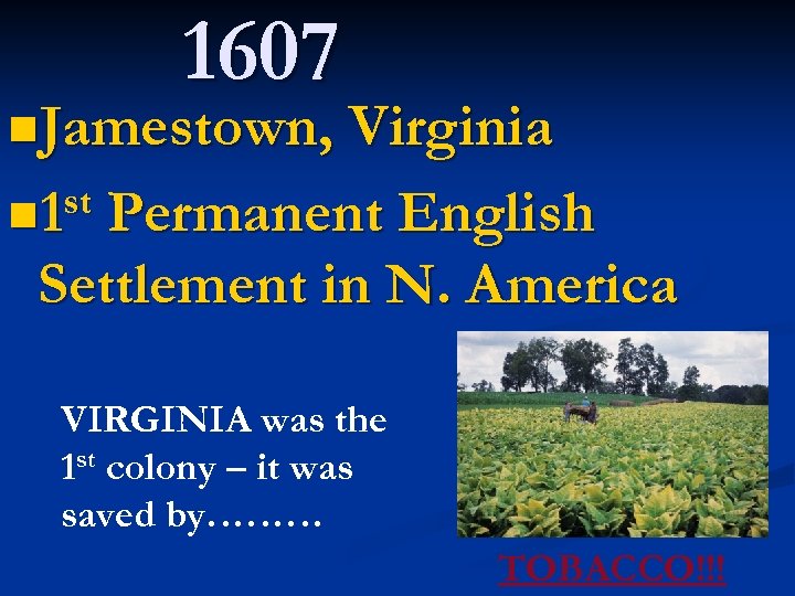 1607 n. Jamestown, Virginia st n 1 Permanent English Settlement in N. America VIRGINIA