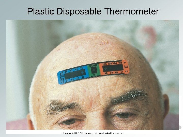 Plastic Disposable Thermometer 