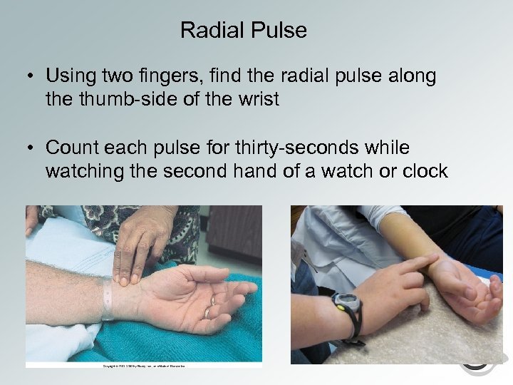 Radial Pulse • Using two fingers, find the radial pulse along the thumb-side of