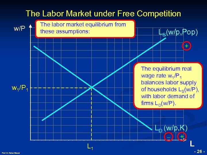 The Labor Market under Free Competition w/P The labor market equilibrium from these assumptions: