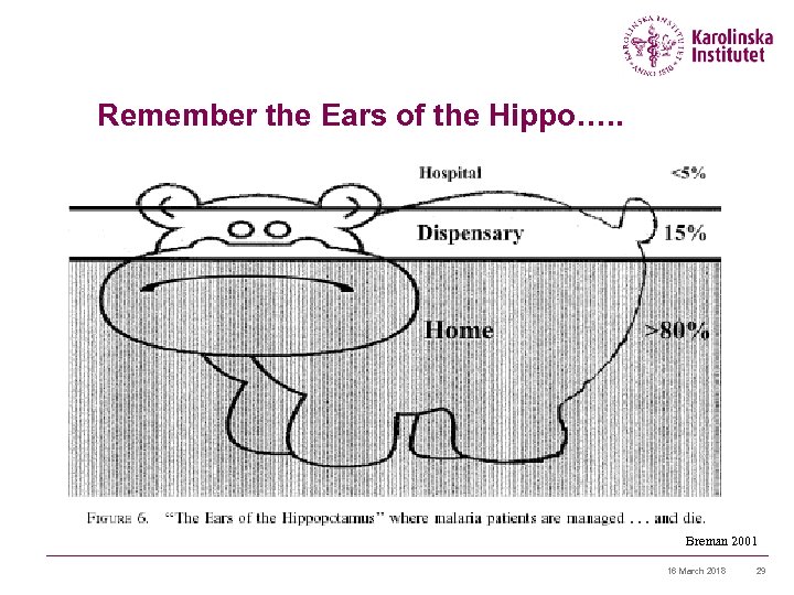 Remember the Ears of the Hippo…. . Breman 2001 16 March 2018 29 