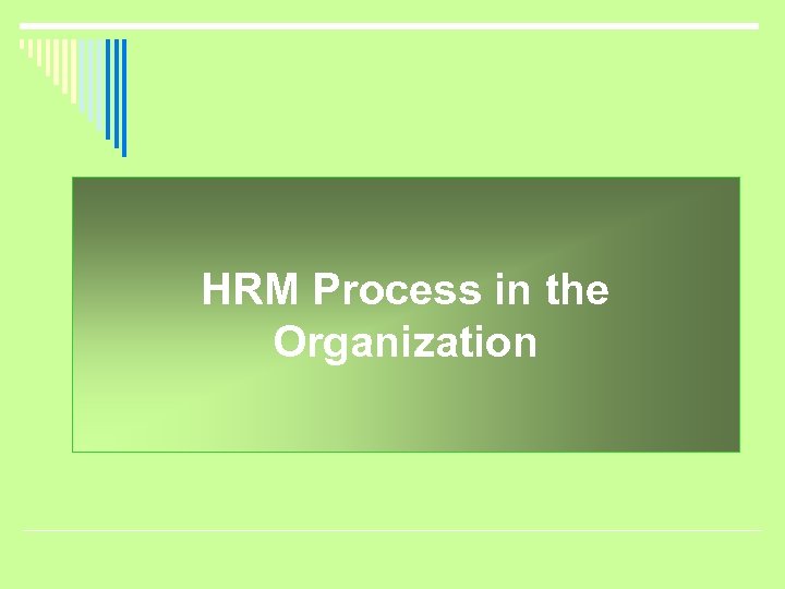 HRM Process in the Organization 