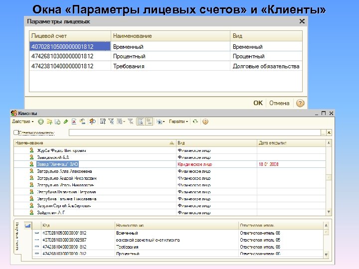 Окна «Параметры лицевых счетов» и «Клиенты» 