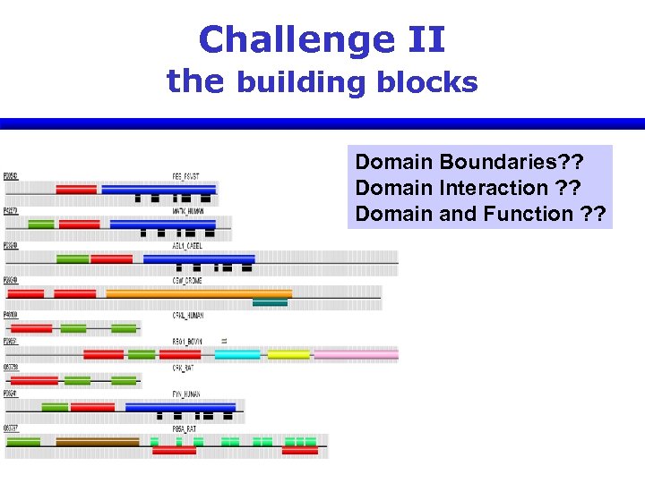 Challenge II the building blocks Domain Boundaries? ? Domain Interaction ? ? Domain and