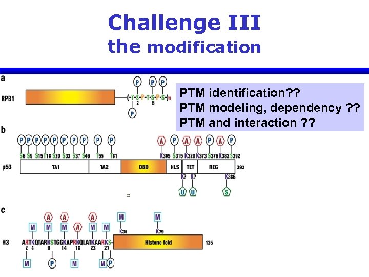 Challenge III the modification PTM identification? ? PTM modeling, dependency ? ? PTM and
