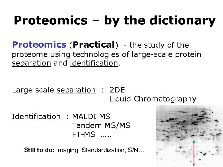 Proteomics – by the dictionary Proteomics (Practical) - the study of the proteome using