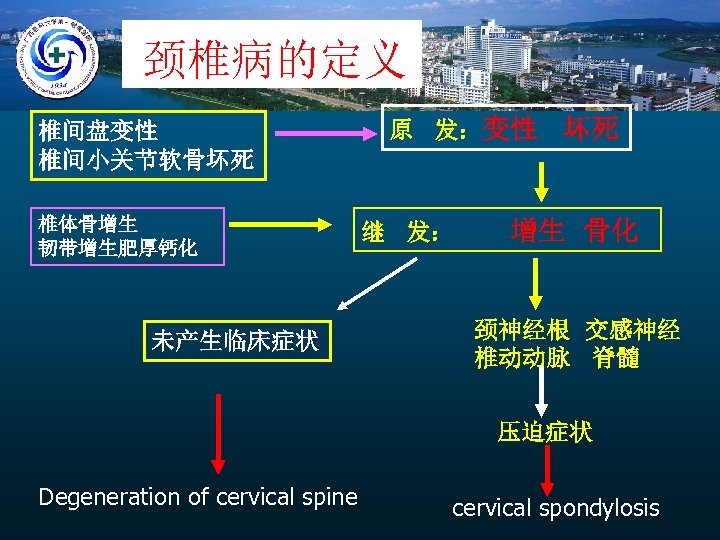 颈椎病的定义 椎间盘变性 椎间小关节软骨坏死 椎体骨增生 韧带增生肥厚钙化 未产生临床症状 原 发：变性 继 发： 坏死 增生 骨化 颈神经根