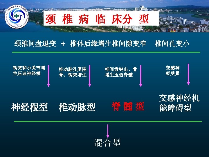 颈 椎 病 临 床分 型 颈椎间盘退变 + 椎体后缘增生椎间隙变窄 钩突和小关节增 生压迫神经根 神经根型 椎动脉孔周围 骨、钩突增生