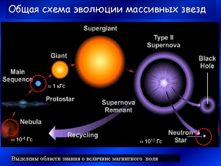 Общая схема эволюции массивных звезд 1 к. Гс 10 -6 Гс 1012 Гс Выделены