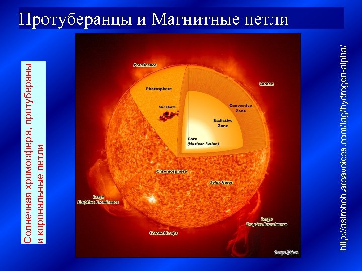 http: //astrobob. areavoices. com/tag/hydrogen-alpha/ Солнечная хромосфера, протубераны и корональные петли Протуберанцы и Магнитные петли