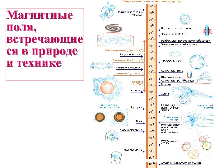 Магнитные поля, встречающие ся в природе и технике 