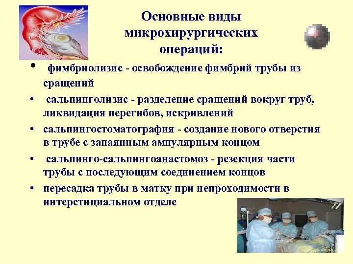  • • • Основные виды микрохирургических операций: фимбриолизис - освобождение фимбрий трубы из