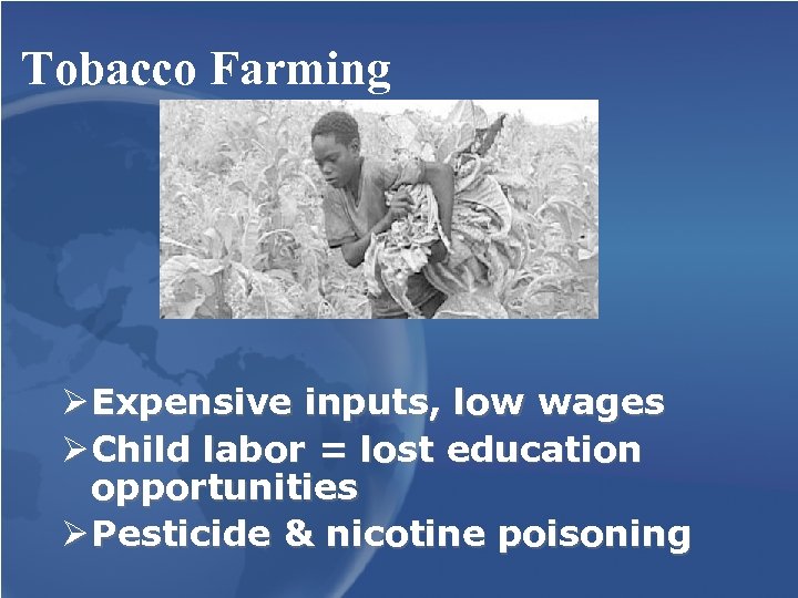 Tobacco Farming Ø Expensive inputs, low wages Ø Child labor = lost education opportunities
