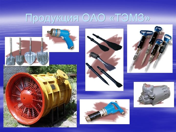 Продукция ОАО «ТЭМЗ» 