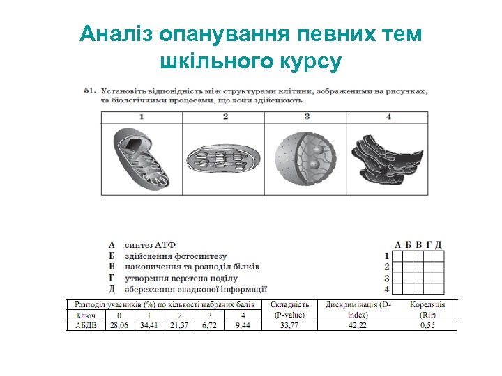 Аналіз опанування певних тем шкільного курсу 