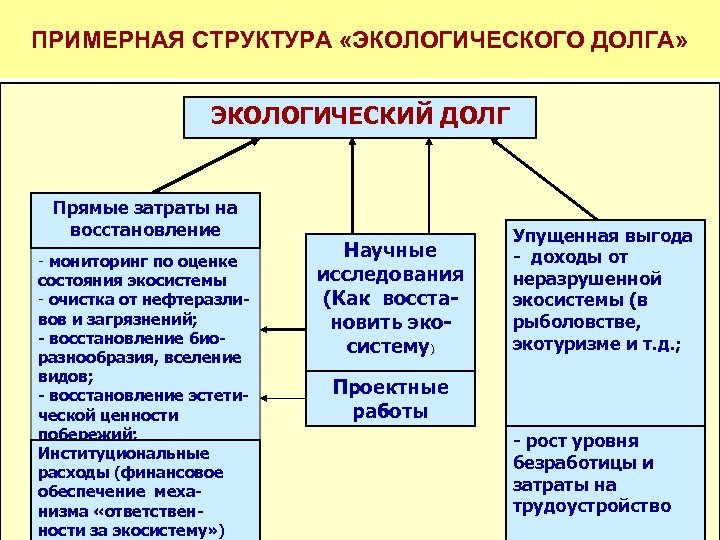 ПРИМЕРНАЯ СТРУКТУРА «ЭКОЛОГИЧЕСКОГО ДОЛГА» ЭКОЛОГИЧЕСКИЙ ДОЛГ Прямые затраты на восстановление - мониторинг по оценке