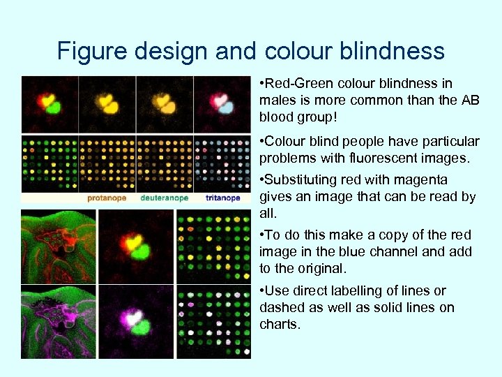Figure design and colour blindness • Red-Green colour blindness in males is more common