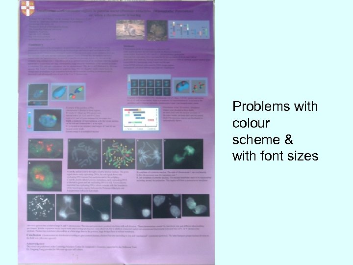 Problems with colour scheme & with font sizes 