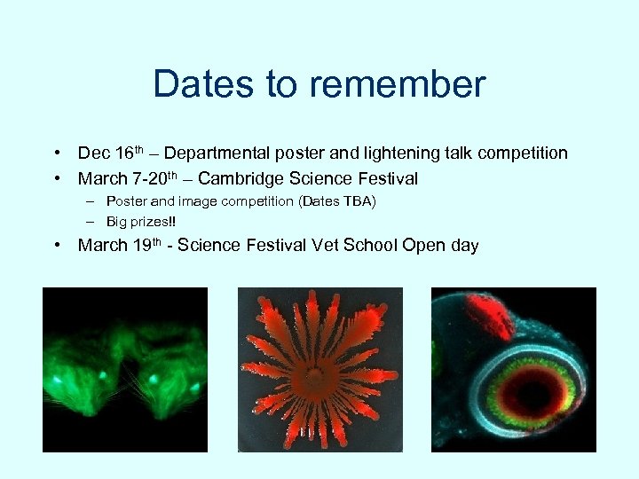Dates to remember • Dec 16 th – Departmental poster and lightening talk competition