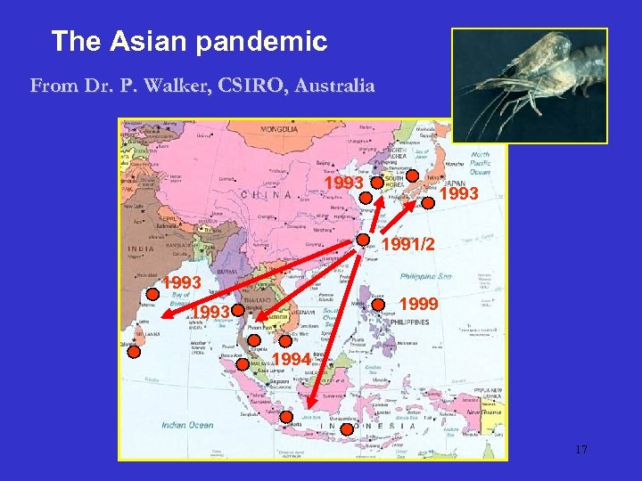The Asian pandemic From Dr. P. Walker, CSIRO, Australia 1993 1991/2 1993 1999 1993
