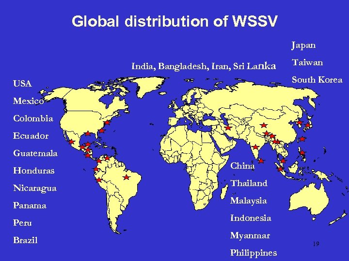 Global distribution of WSSV Japan India, Bangladesh, Iran, Sri Lanka Taiwan South Korea USA