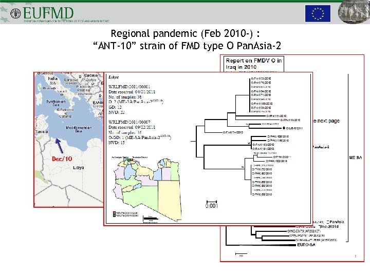 Regional pandemic (Feb 2010 -) : “ANT-10” strain of FMD type O Pan. Asia-2