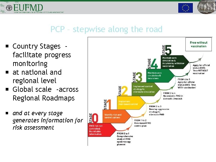 PCP – stepwise along the road Country Stages facilitate progress monitoring at national and