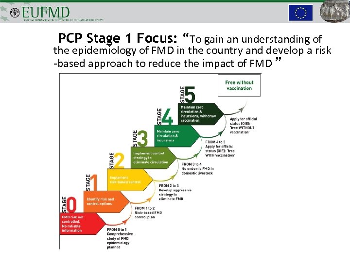 PCP Stage 1 Focus: “To gain an understanding of the epidemiology of FMD in