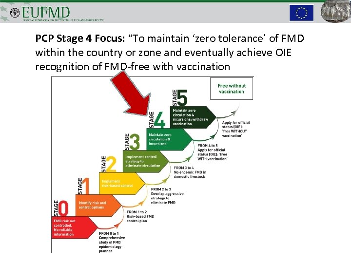 PCP Stage 4 Focus: “To maintain ‘zero tolerance’ of FMD within the country or