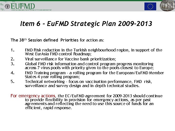 Item 6 - Eu. FMD Strategic Plan 2009 -2013 The 38 th Session defined