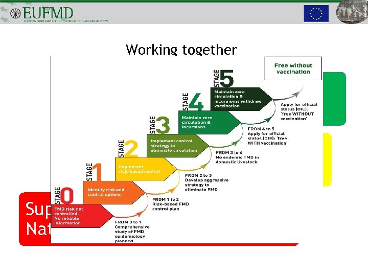 Working together Global Progress As part of Regional Long Term Roadmaps Supporting sustainable National