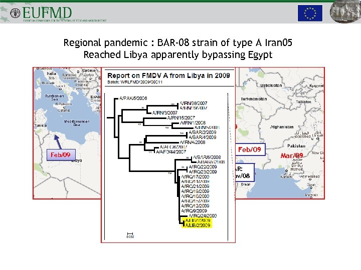 Regional pandemic : BAR-08 strain of type A Iran 05 Reached Libya apparently bypassing