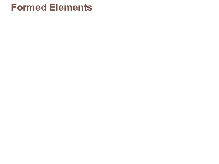 Formed Elements 