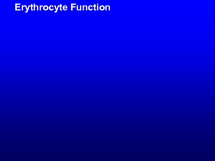 Erythrocyte Function 