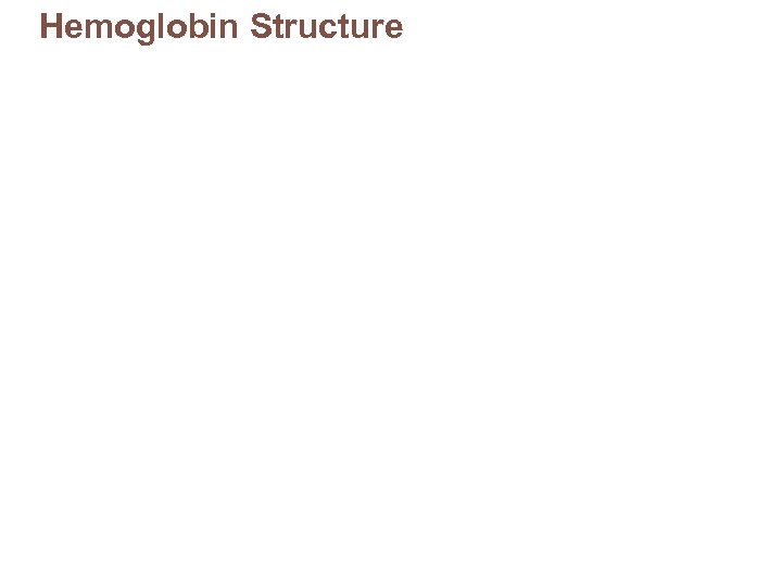 Hemoglobin Structure 