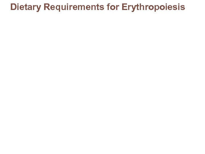 Dietary Requirements for Erythropoiesis 