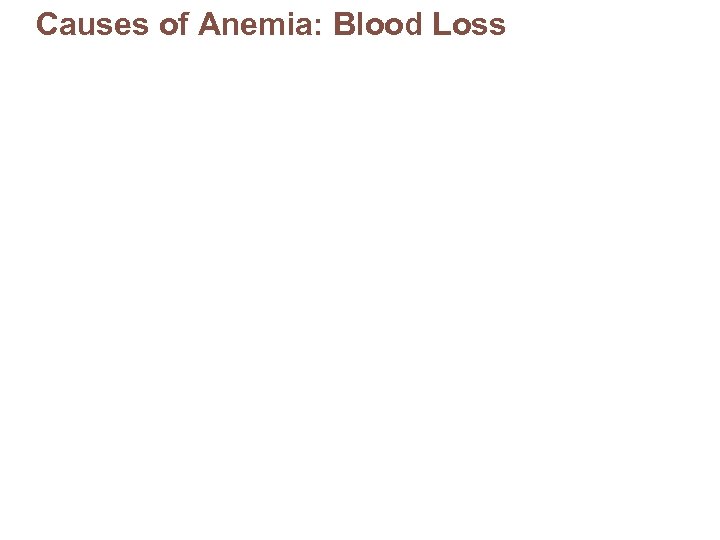 Causes of Anemia: Blood Loss 