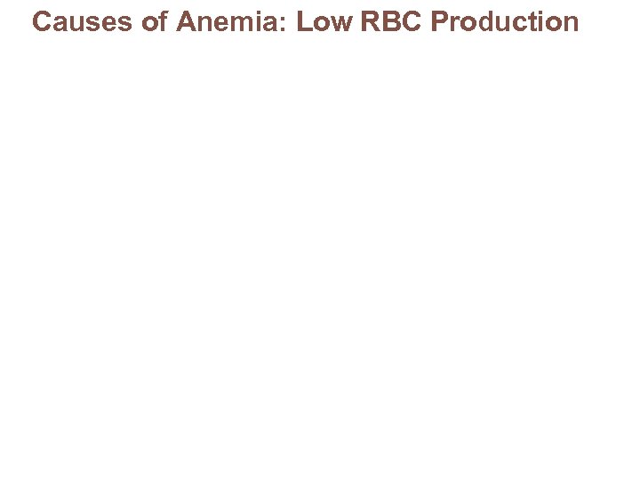 Causes of Anemia: Low RBC Production 