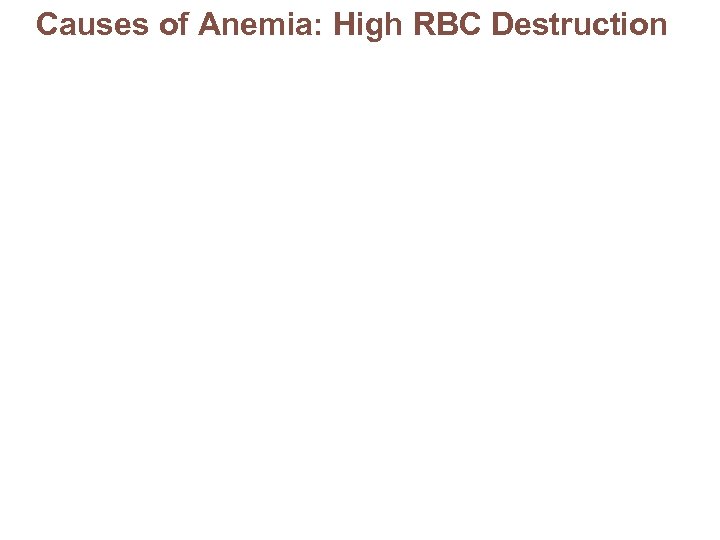 Causes of Anemia: High RBC Destruction 