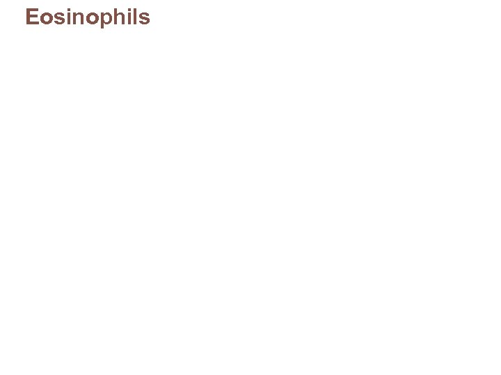 Eosinophils 