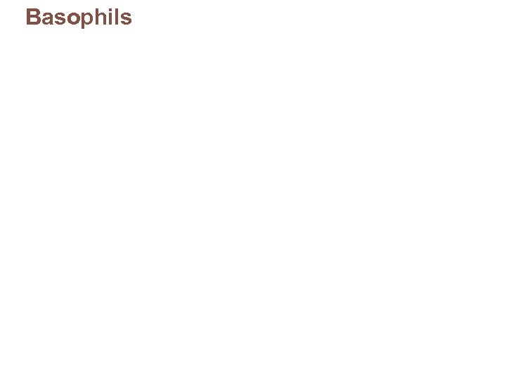 Basophils 