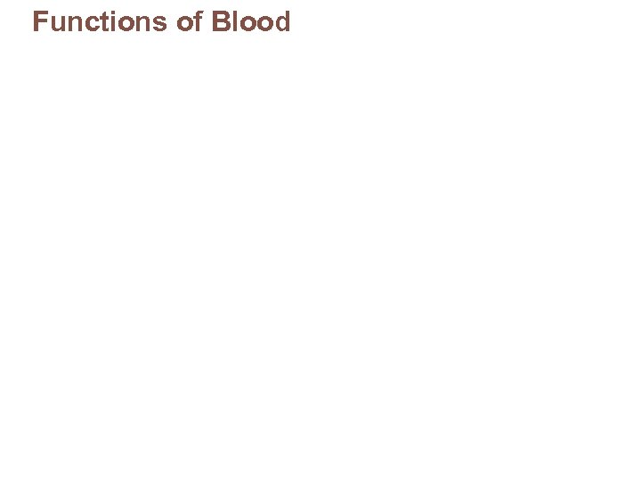 Functions of Blood 