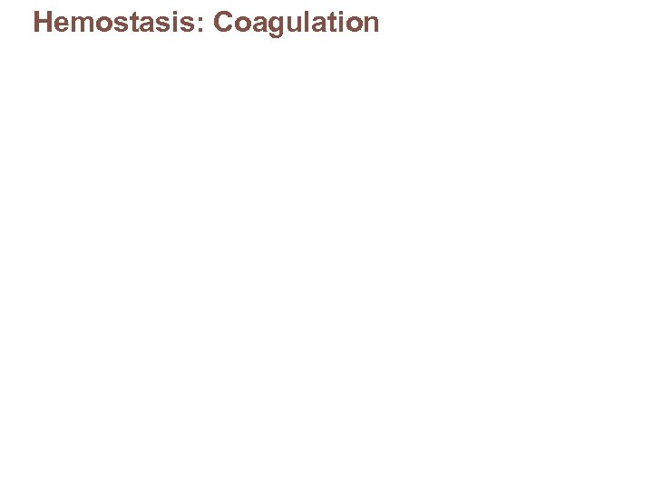 Hemostasis: Coagulation 