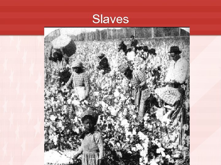 Slaves 