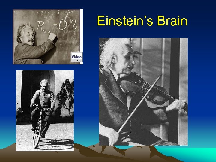 Einstein’s Brain • 1879 -1955 