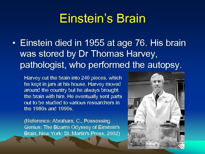 Einstein’s Brain • Einstein died in 1955 at age 76. His brain was stored