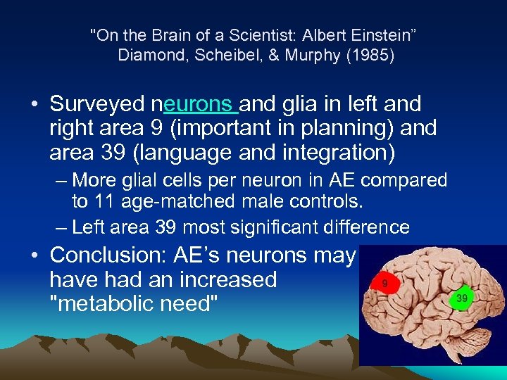 "On the Brain of a Scientist: Albert Einstein” Diamond, Scheibel, & Murphy (1985) •