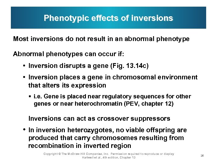 Phenotypic effects of inversions Most inversions do not result in an abnormal phenotype Abnormal
